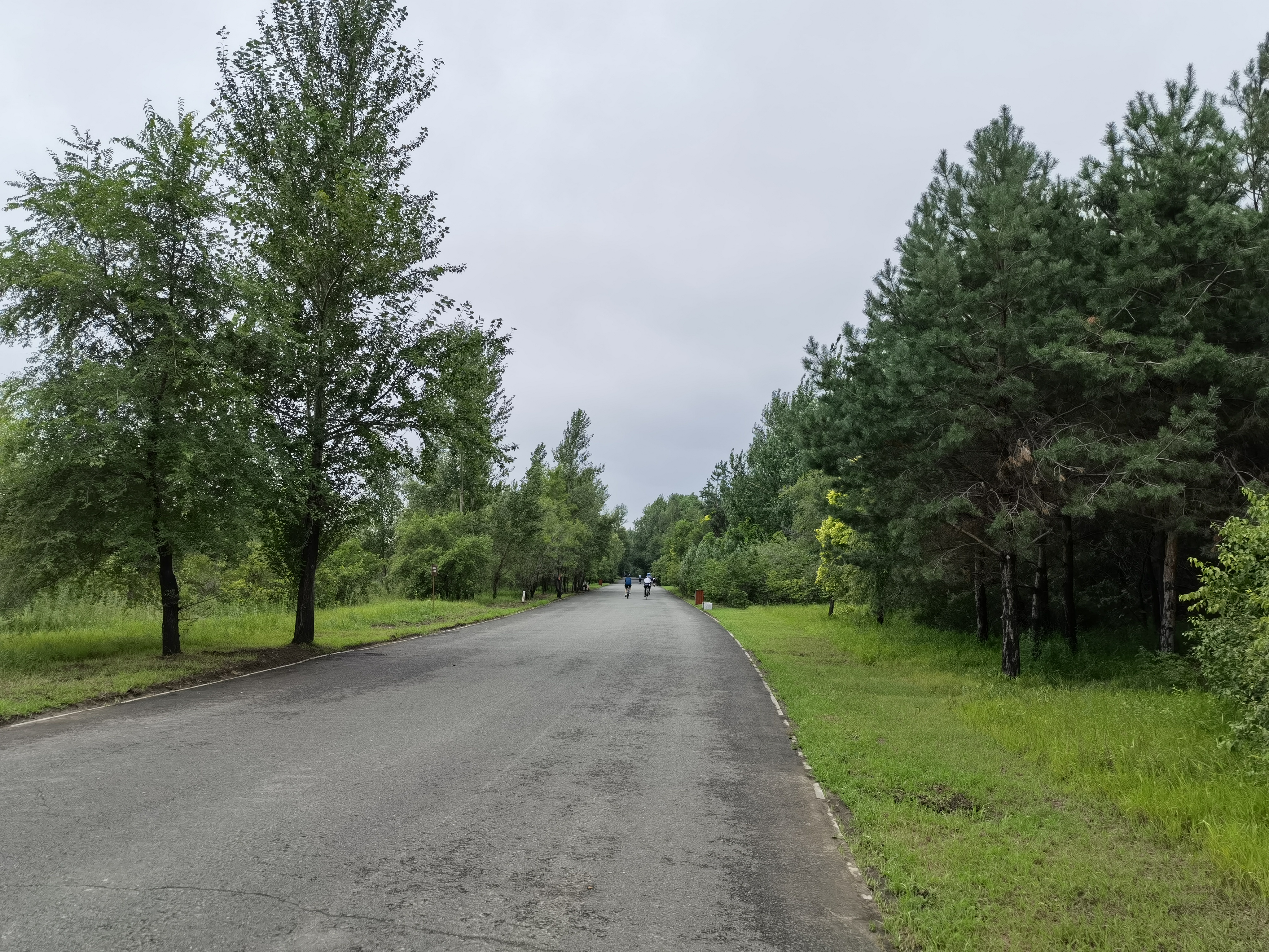 关于社区盾今晚走向成谜，多特蒙德战术微调，话题不断，训练强度明显提升的信息